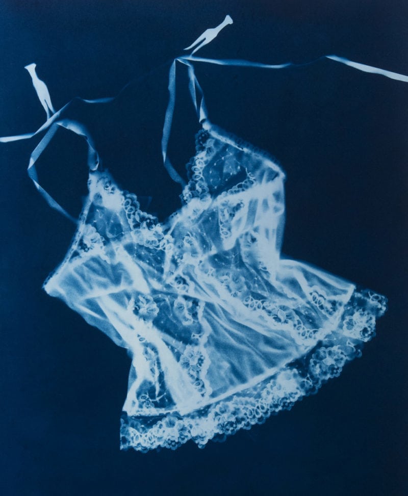 Cyanotypes – Julie Millowick